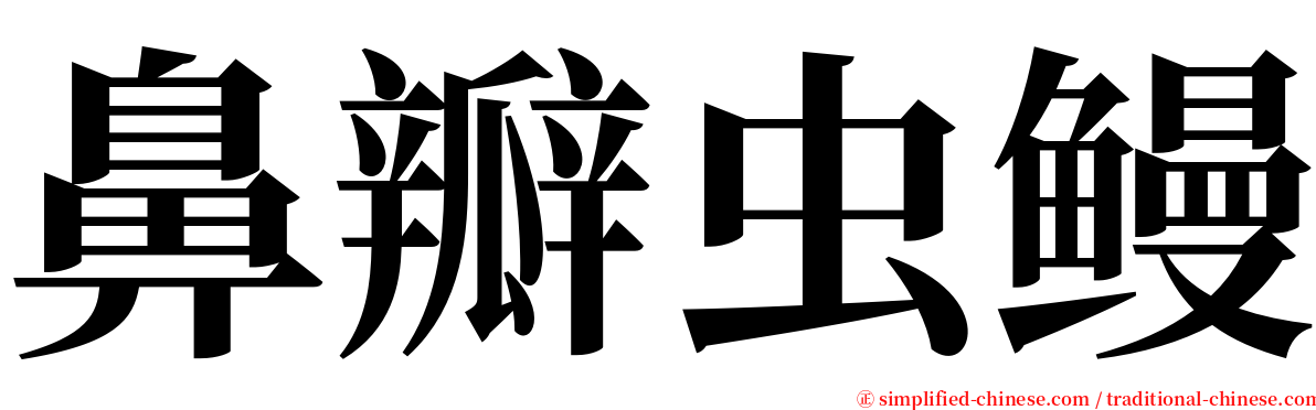 鼻瓣虫鳗 serif font