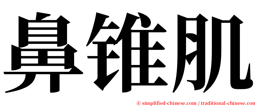 鼻锥肌 serif font