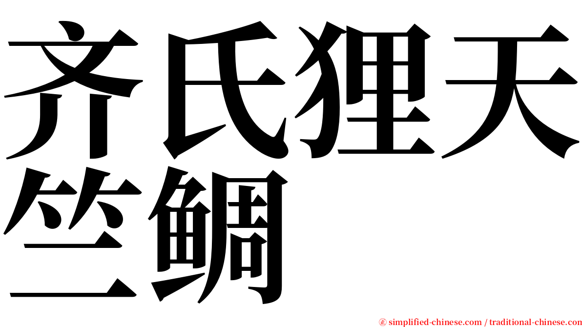 齐氏狸天竺鲷 serif font