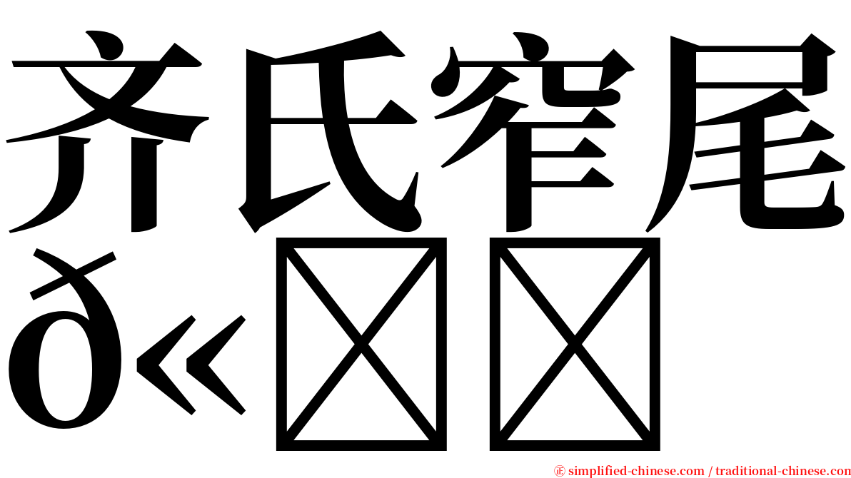 齐氏窄尾𫚉 serif font