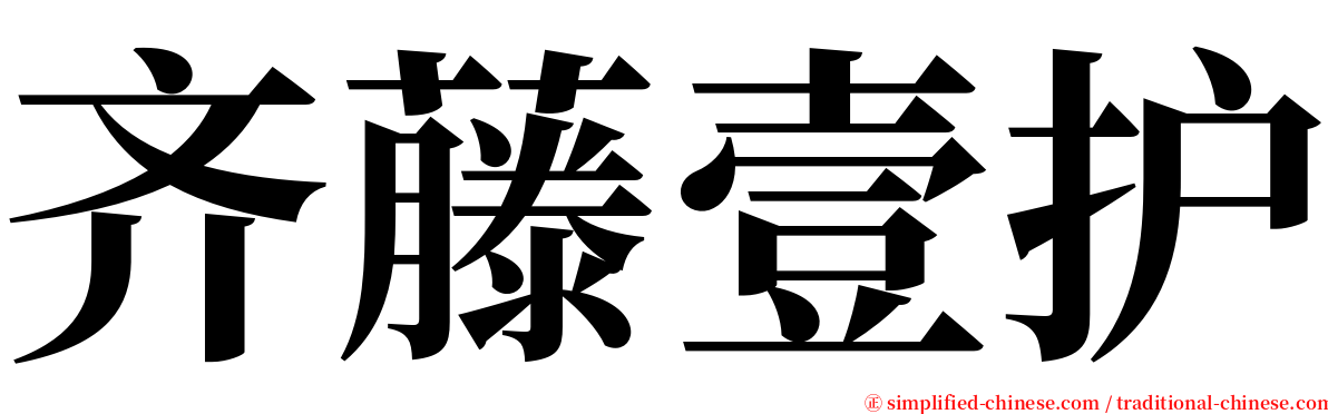 齐藤壹护 serif font