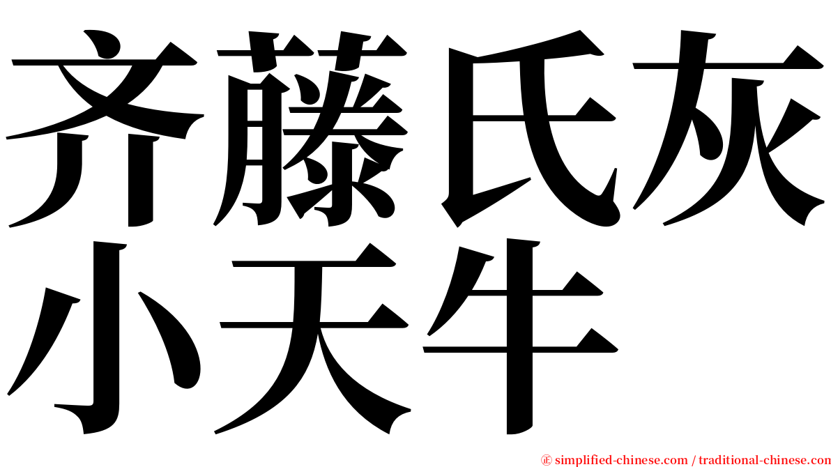 齐藤氏灰小天牛 serif font