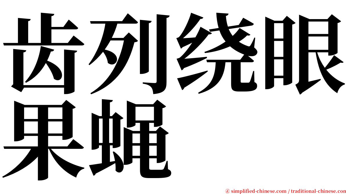 齿列绕眼果蝇 serif font