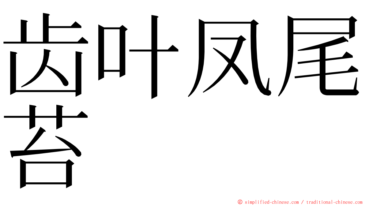 齿叶凤尾苔 ming font