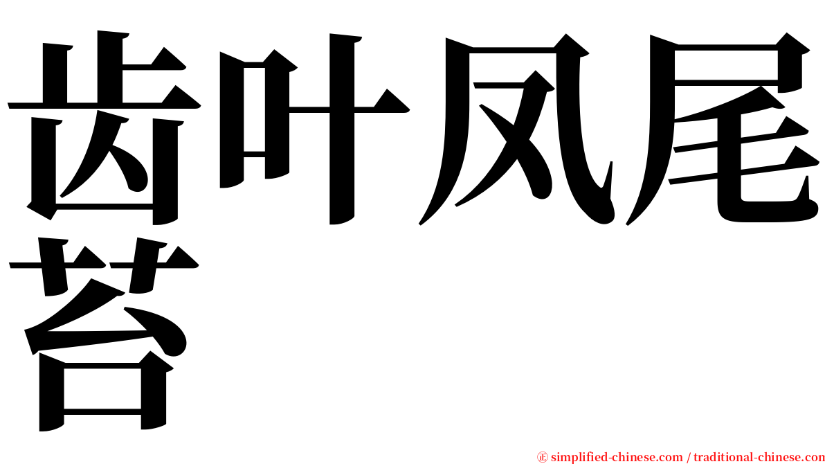 齿叶凤尾苔 serif font