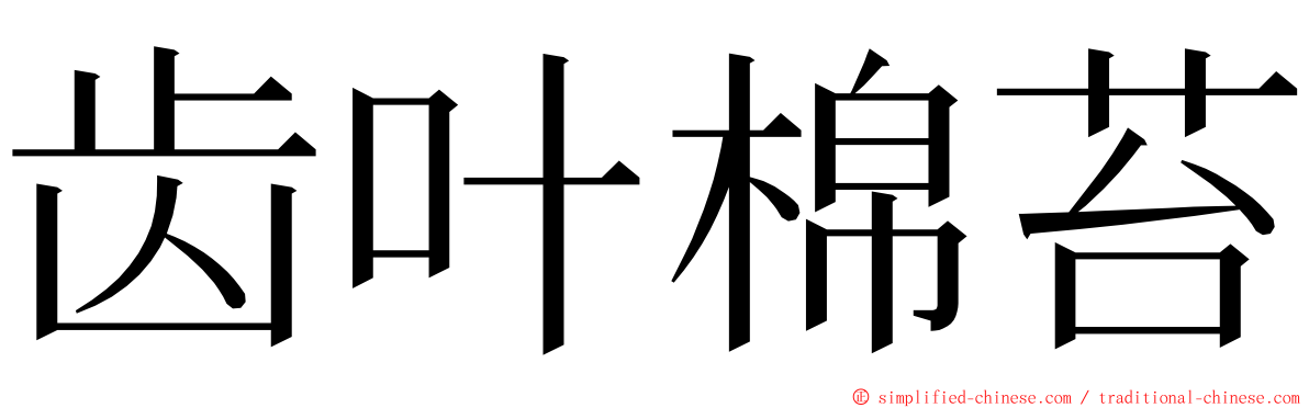 齿叶棉苔 ming font