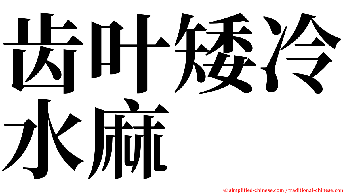 齿叶矮冷水麻 serif font