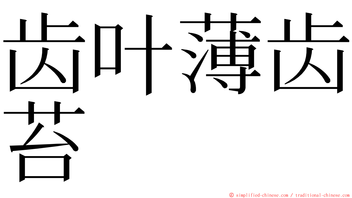 齿叶薄齿苔 ming font