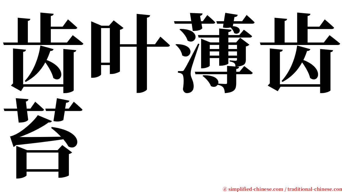 齿叶薄齿苔 serif font