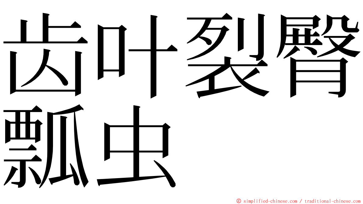 齿叶裂臀瓢虫 ming font