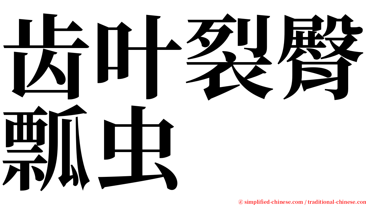 齿叶裂臀瓢虫 serif font