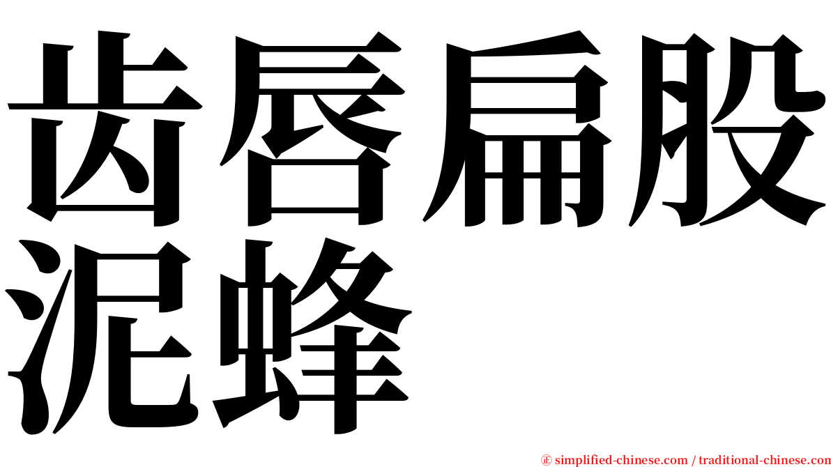 齿唇扁股泥蜂 serif font