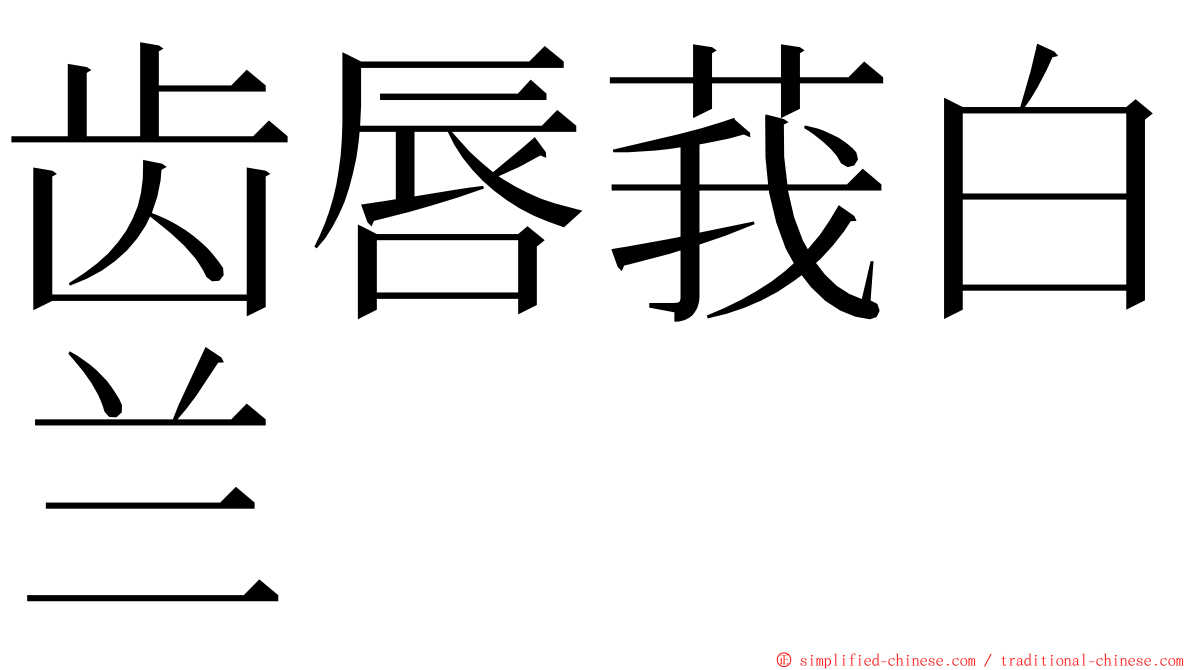 齿唇莪白兰 ming font