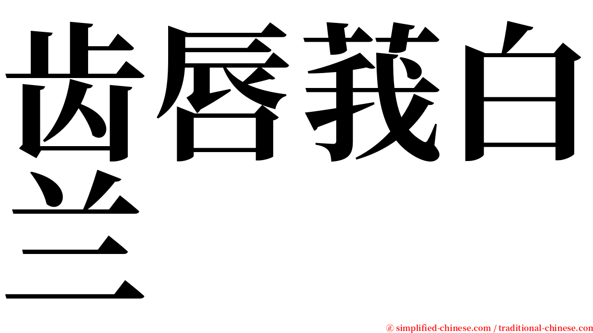 齿唇莪白兰 serif font