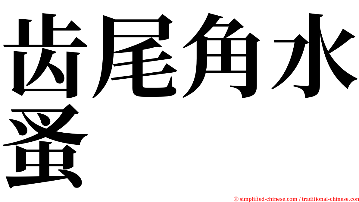 齿尾角水蚤 serif font