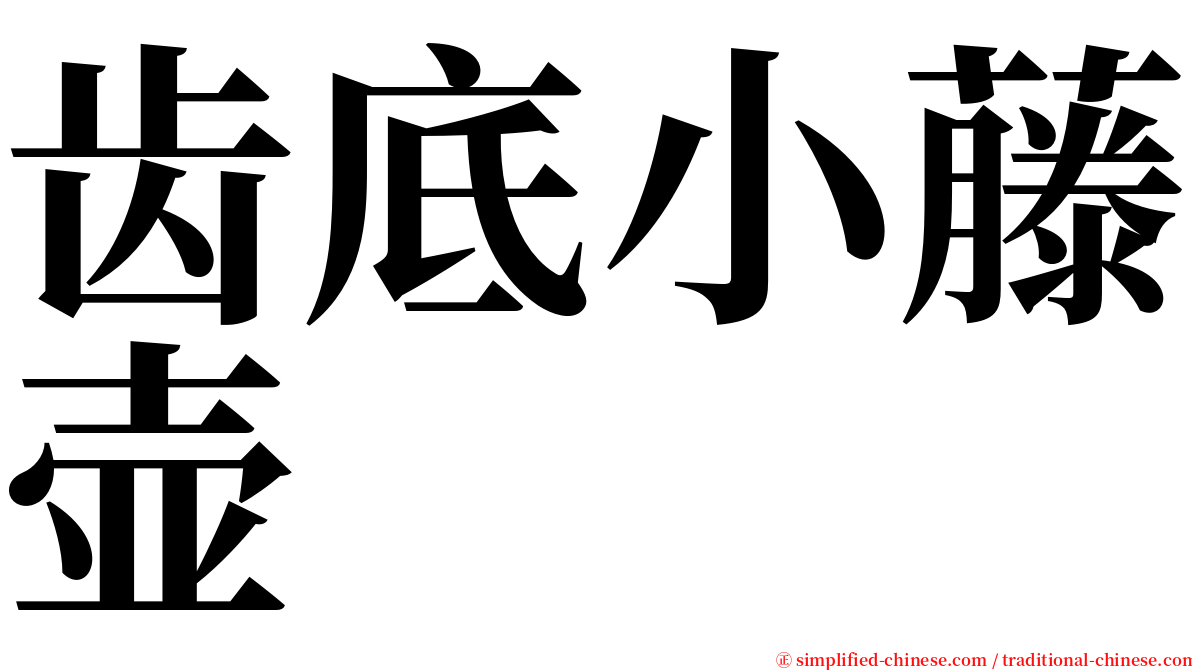 齿底小藤壶 serif font