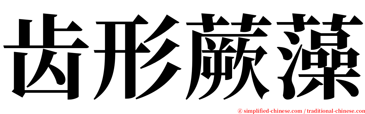 齿形蕨藻 serif font