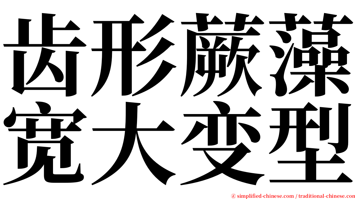 齿形蕨藻宽大变型 serif font