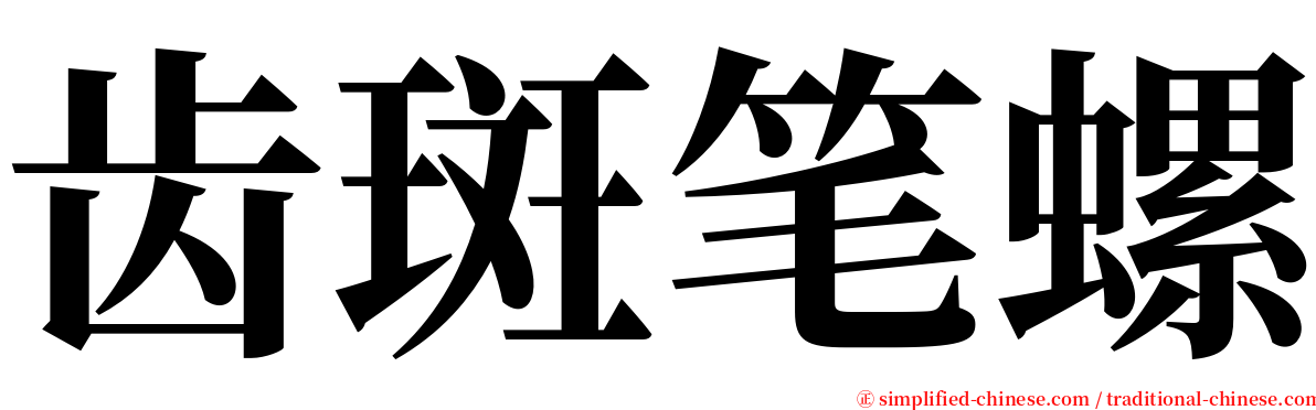 齿斑笔螺 serif font