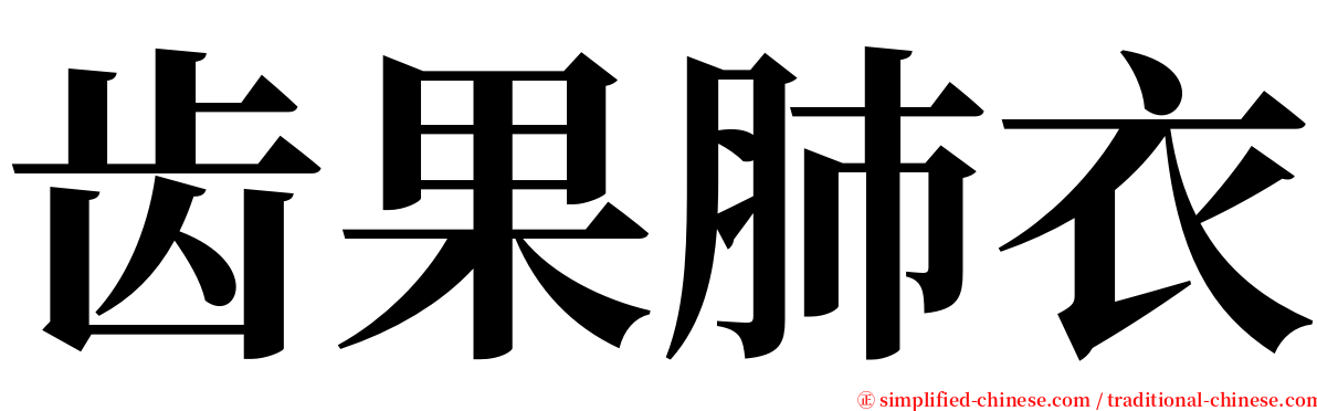 齿果肺衣 serif font