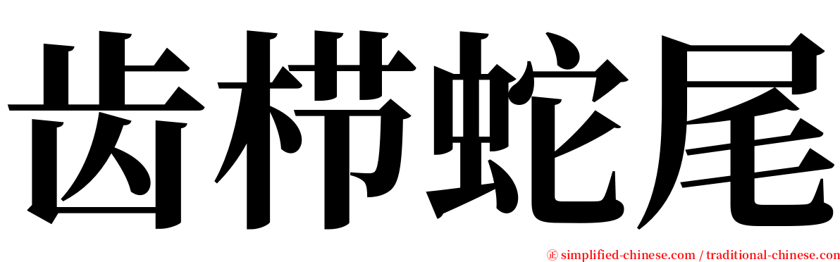 齿栉蛇尾 serif font