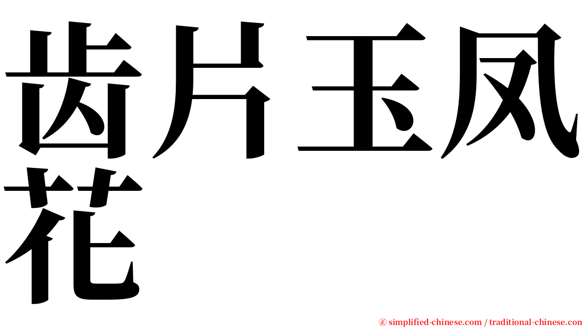 齿片玉凤花 serif font