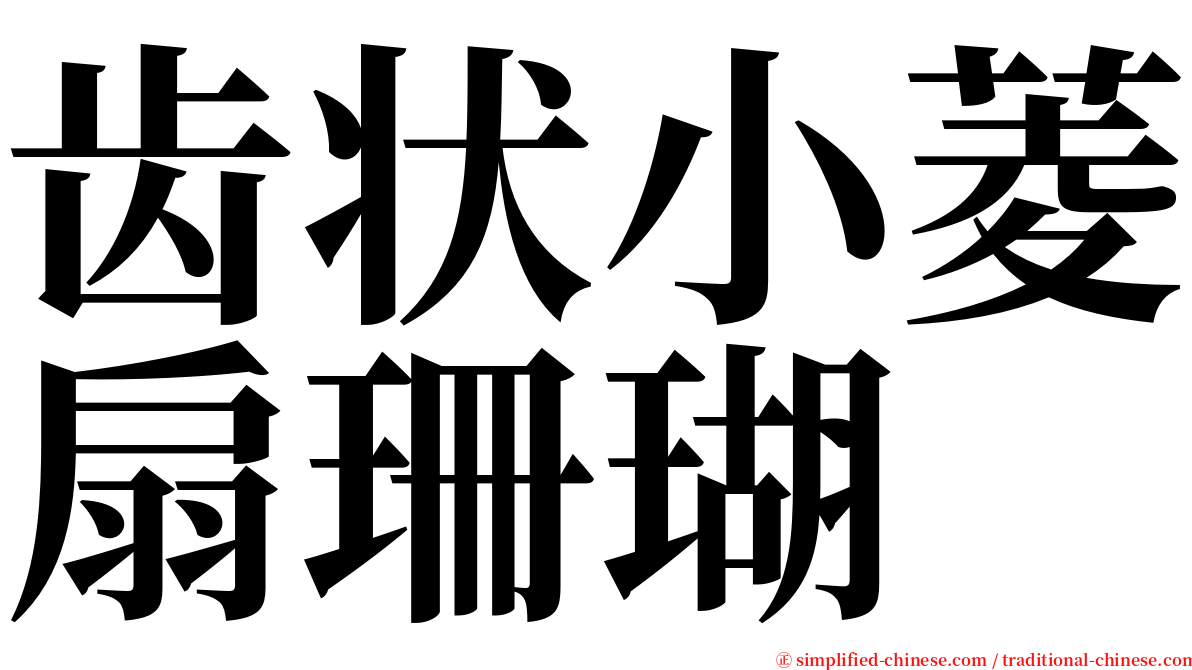 齿状小菱扇珊瑚 serif font