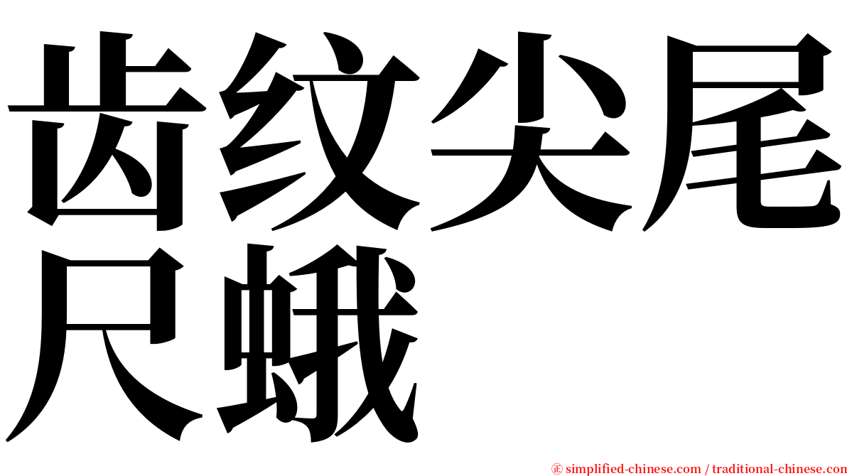 齿纹尖尾尺蛾 serif font