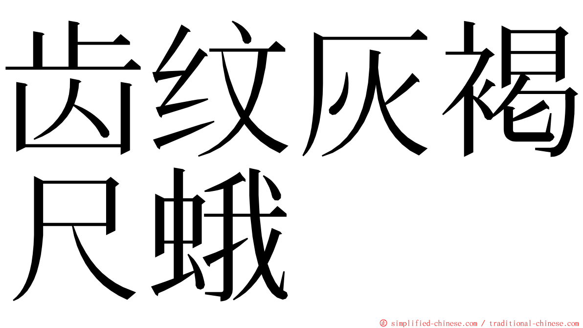 齿纹灰褐尺蛾 ming font