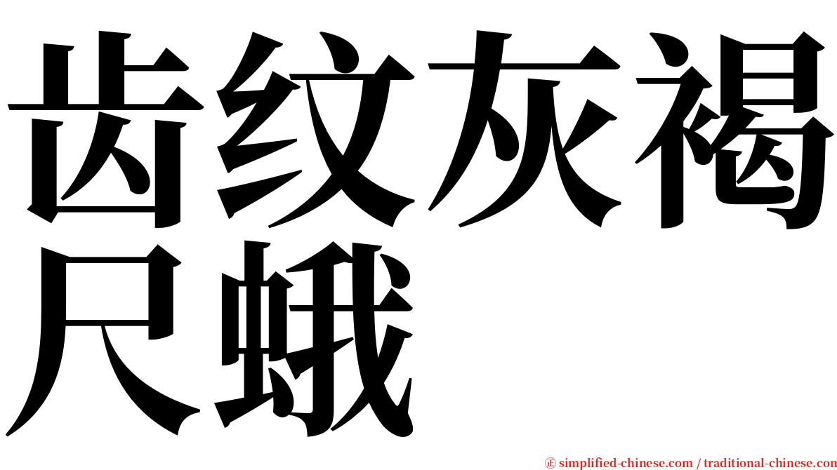 齿纹灰褐尺蛾 serif font