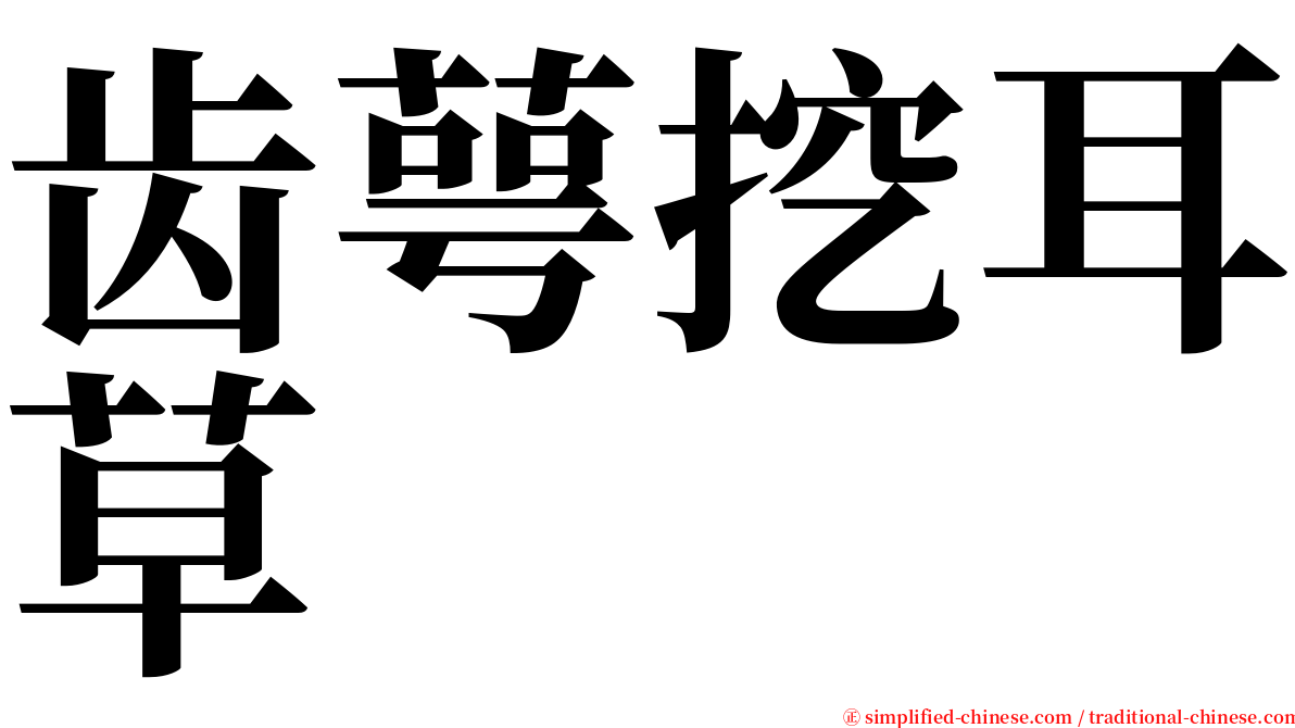 齿萼挖耳草 serif font