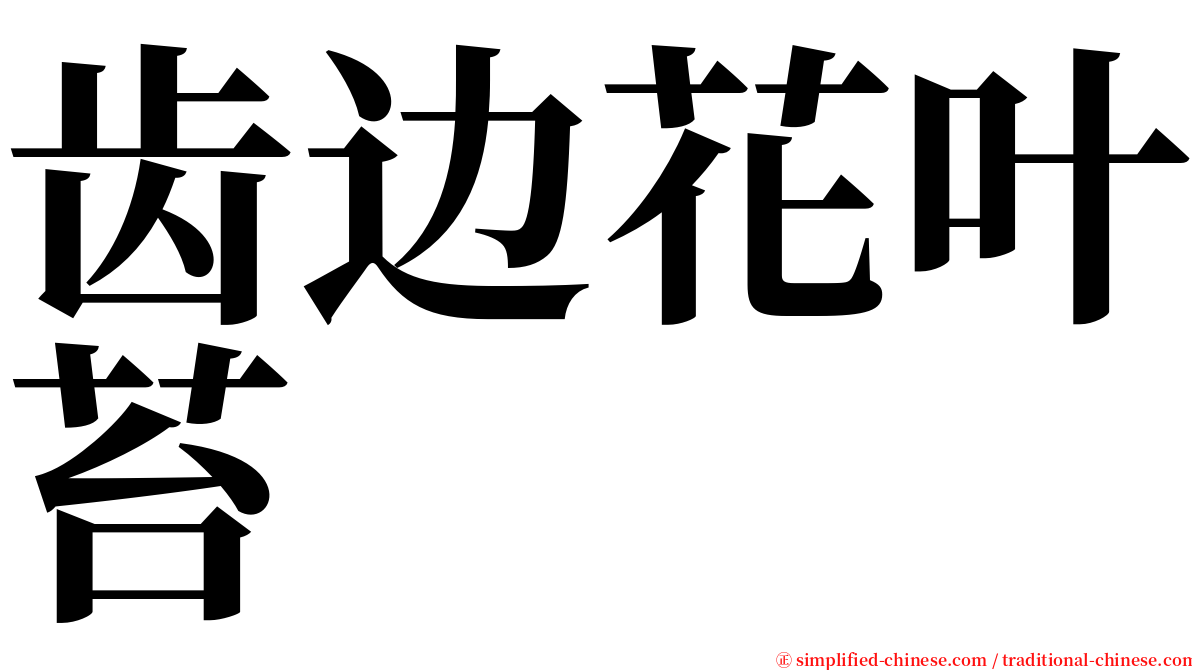 齿边花叶苔 serif font