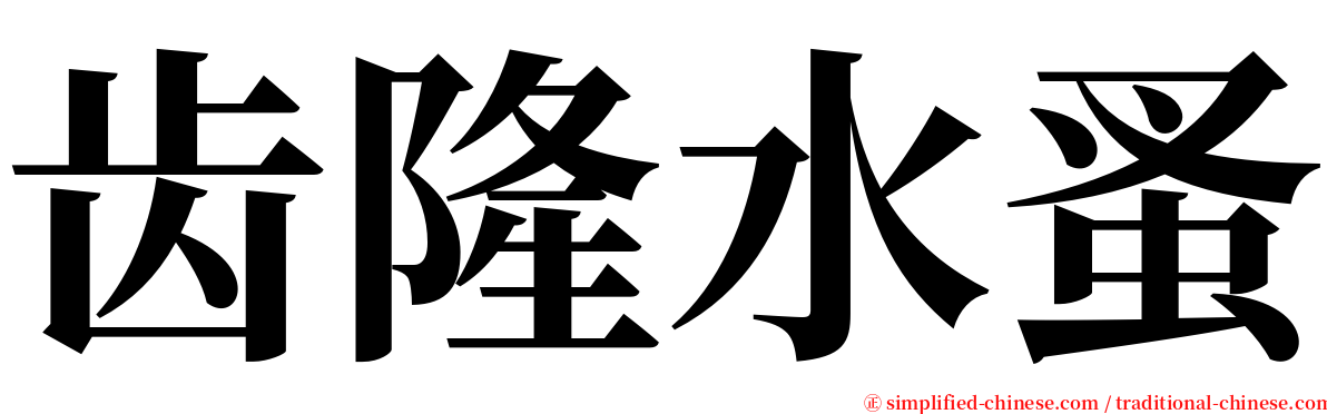 齿隆水蚤 serif font