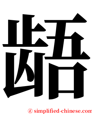 龉 serif font