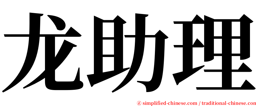 龙助理 serif font