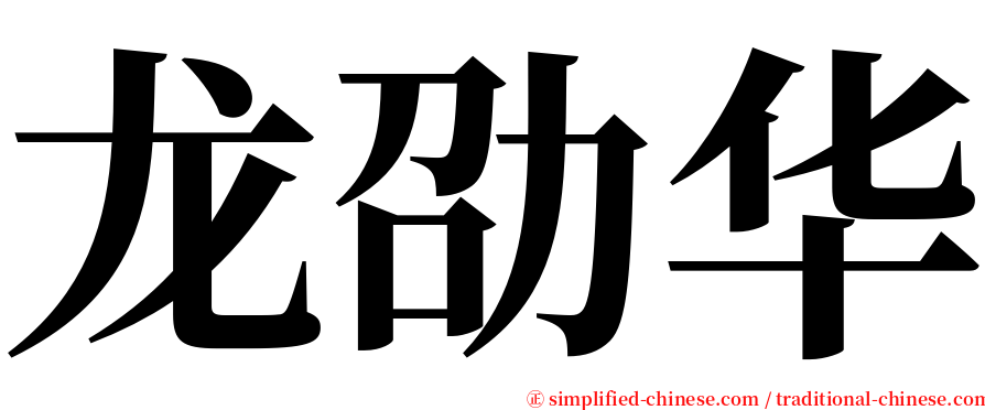 龙劭华 serif font
