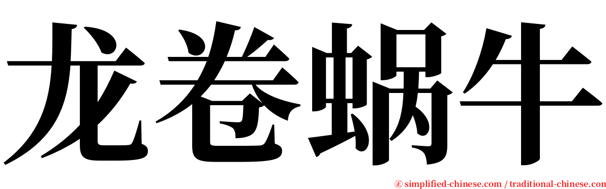 龙卷蜗牛 serif font