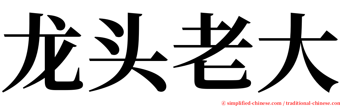 龙头老大 serif font