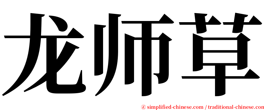 龙师草 serif font