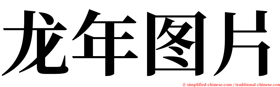 龙年图片 serif font