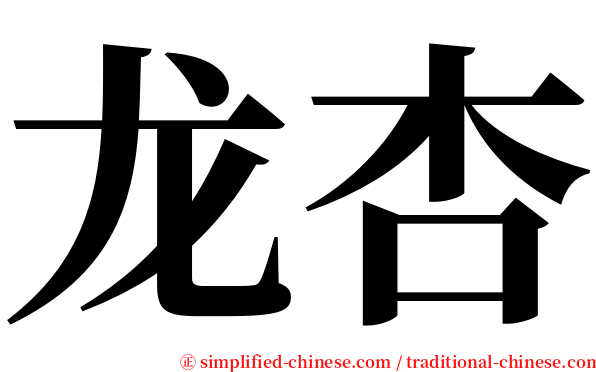 龙杏 serif font