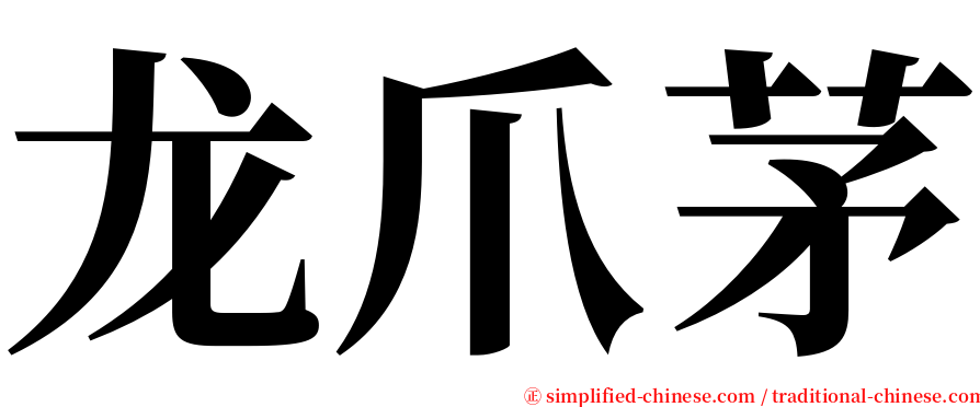 龙爪茅 serif font