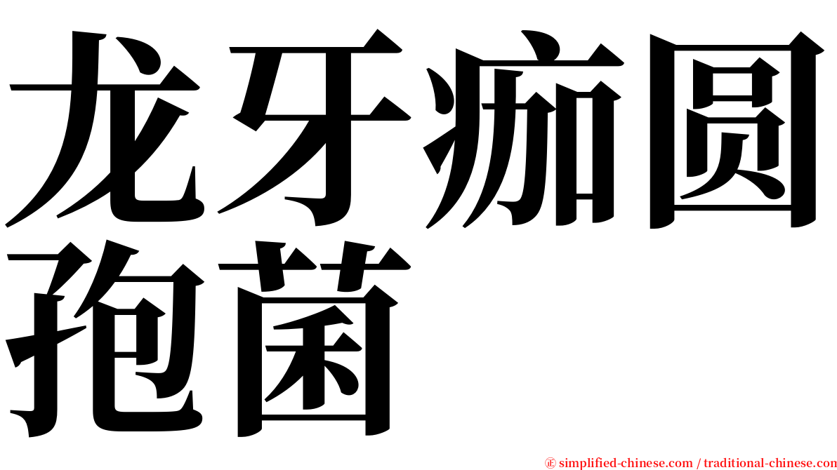 龙牙痂圆孢菌 serif font