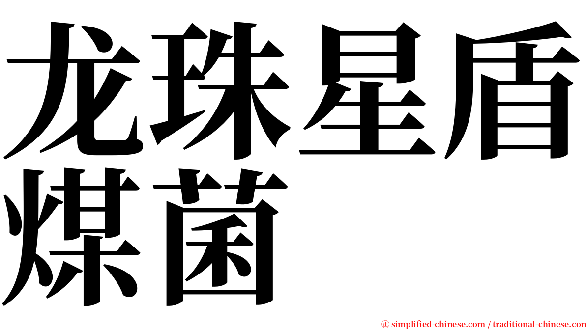 龙珠星盾煤菌 serif font