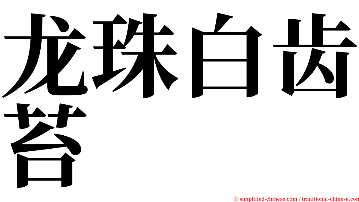 龙珠白齿苔 serif font