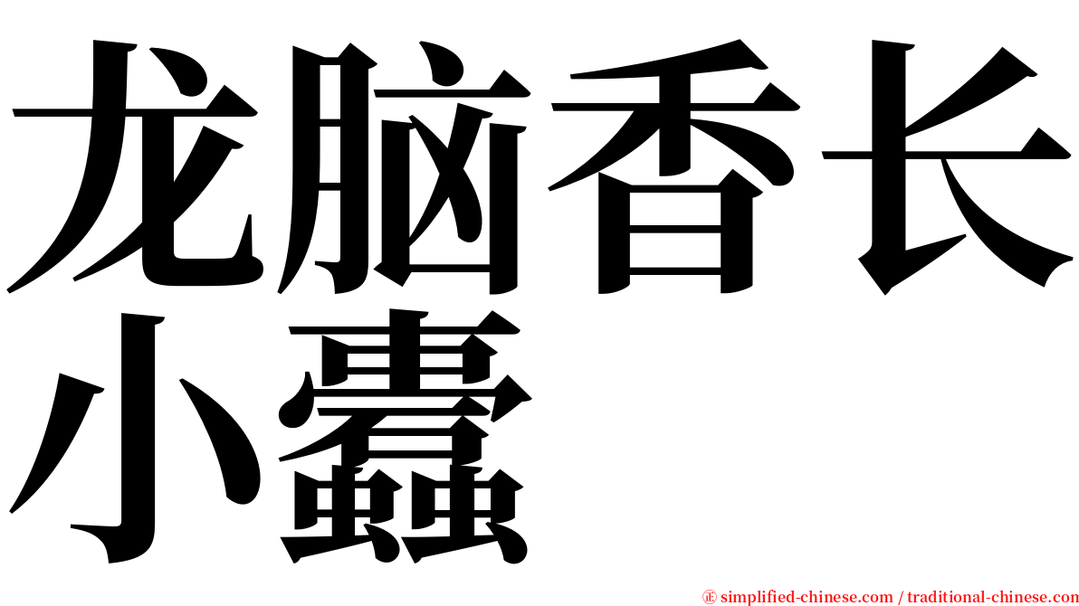 龙脑香长小蠹 serif font