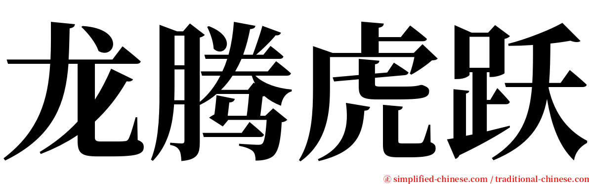 龙腾虎跃 serif font