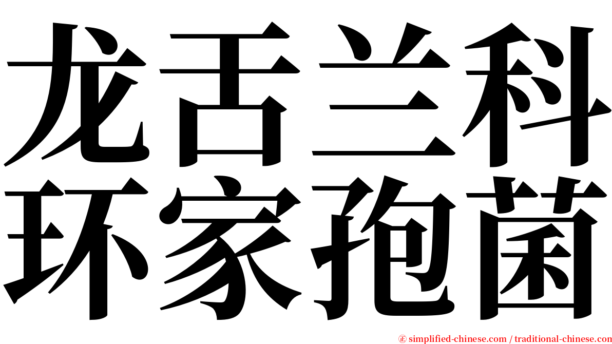 龙舌兰科环家孢菌 serif font