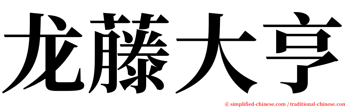 龙藤大亨 serif font