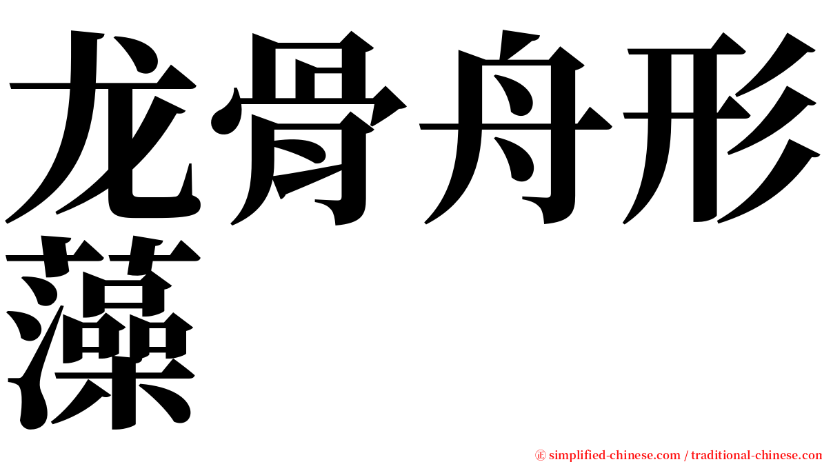 龙骨舟形藻 serif font